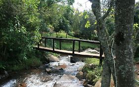 Sabie Star